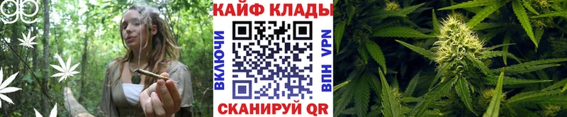 Купить наркотик Тамбов Конопля  Псилоцибиновые грибы  Меф  МЕТАМФЕТАМИН  Cocaine 