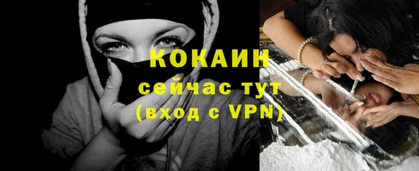 PSILOCYBIN Пересвет