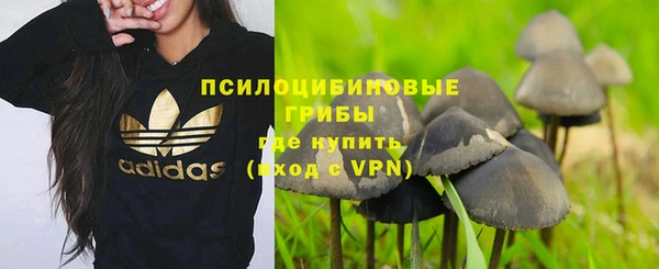 PSILOCYBIN Пересвет