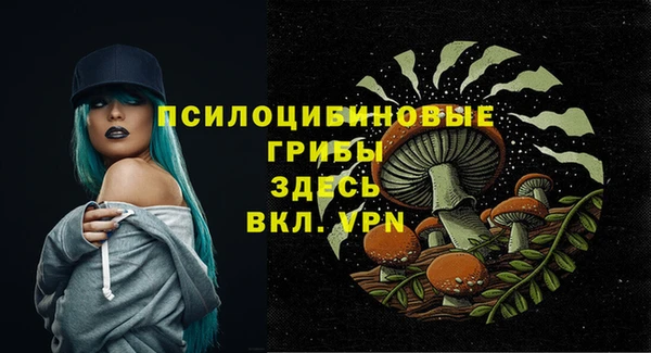 дурь Пестово