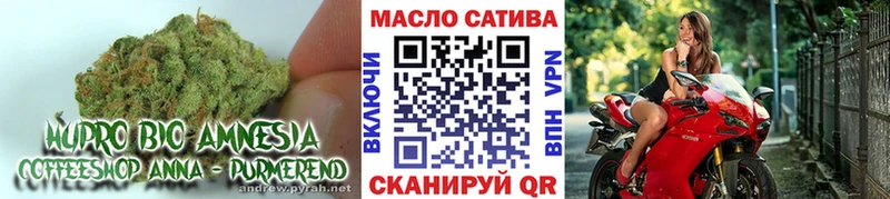 даркнет сайт  Тамбов  ТГК жижа 