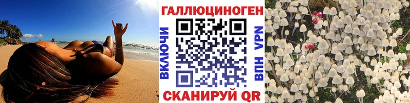 Псилоцибиновые грибы прущие грибы блэк спрут ссылка Тамбов