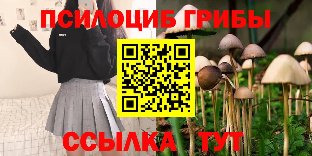 как найти   Галлюциногенные грибы Cubensis  Тамбов  Вход с VPN  Псилоцибиновые грибы прущие грибы 